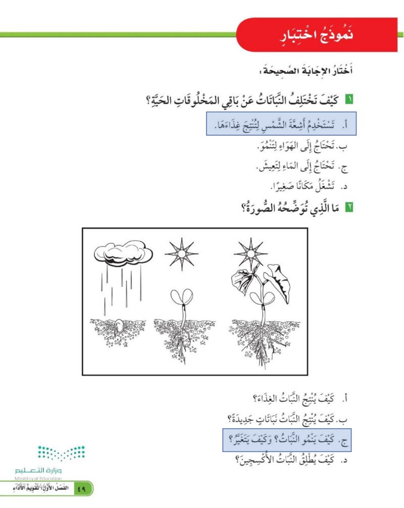 نموذج اختبار